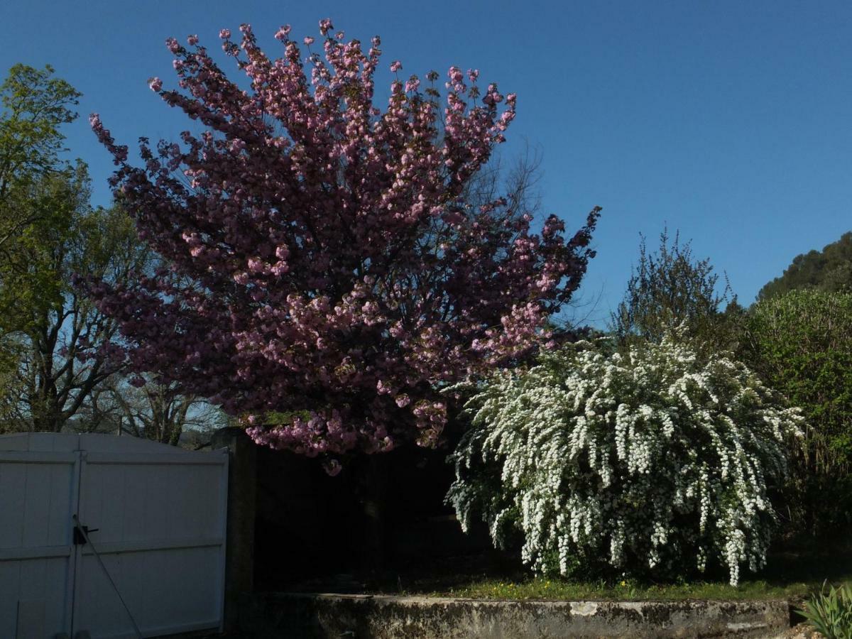 Bastide Du Bonheur Saint Donat Bed & Breakfast Greoux-les-Bains ภายนอก รูปภาพ